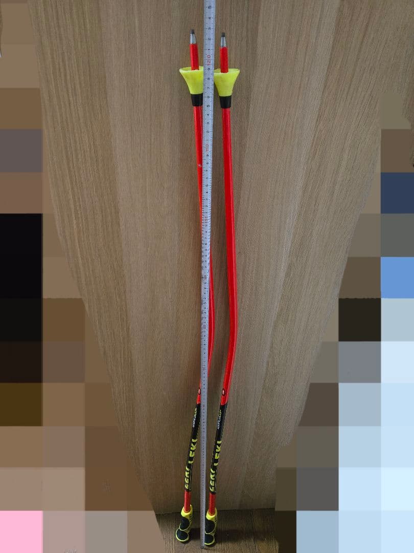 LEKI GS スキー ストック 123cm程度