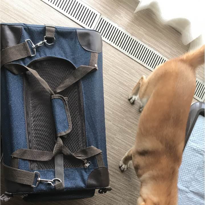 ドッグキャリー