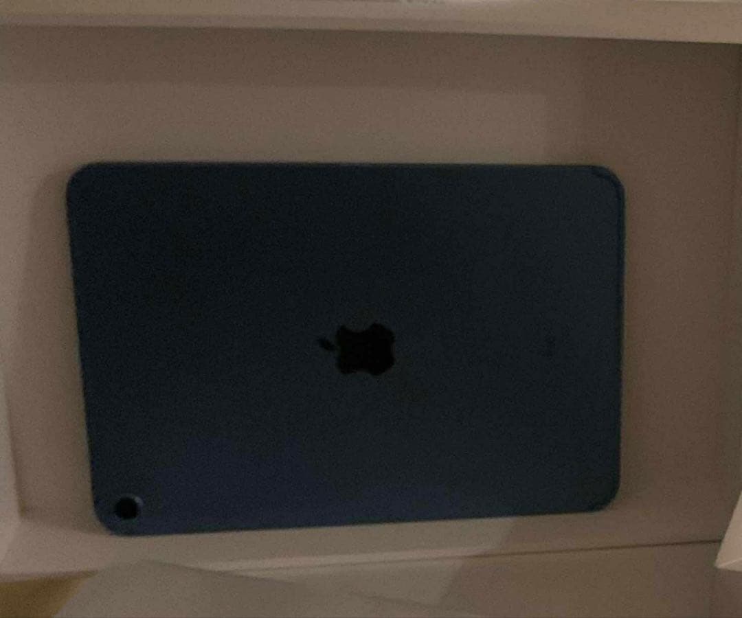 Apple iPad 本体 青