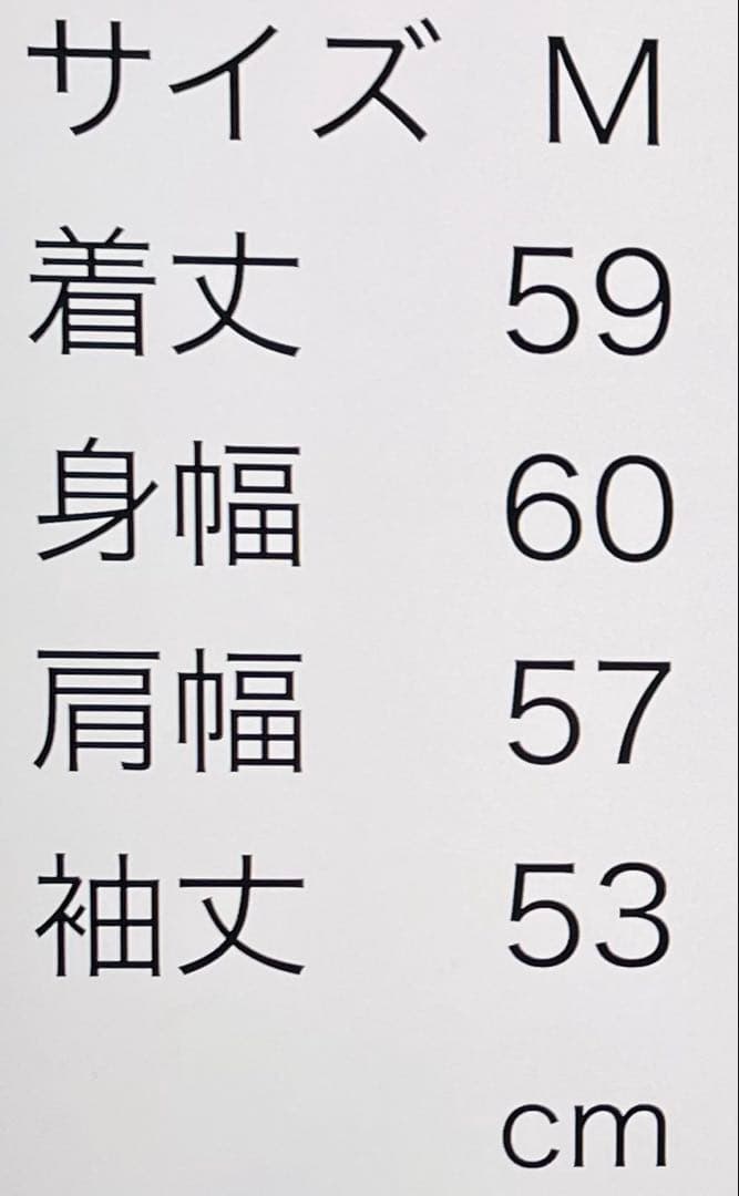 90's 日本製 ASICS 米米CLUB 1994 スウェット