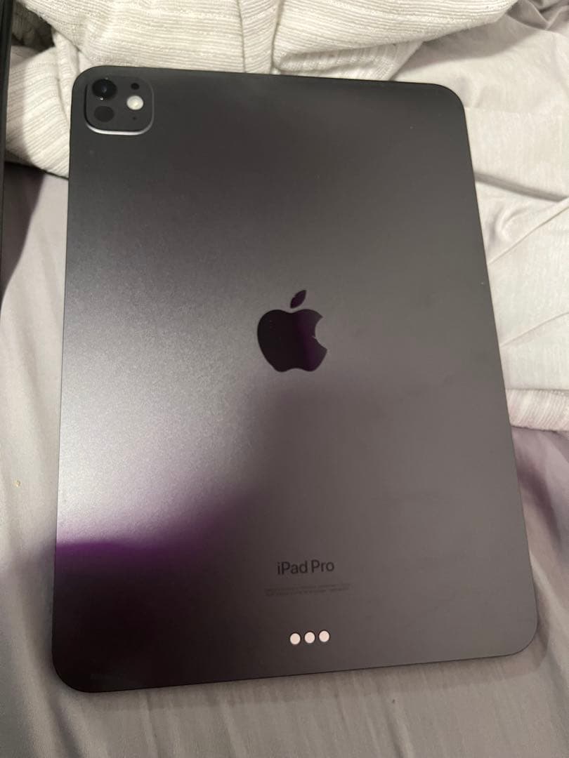 iPad Pro 11インチ256GB 2024型 美品 充電100%