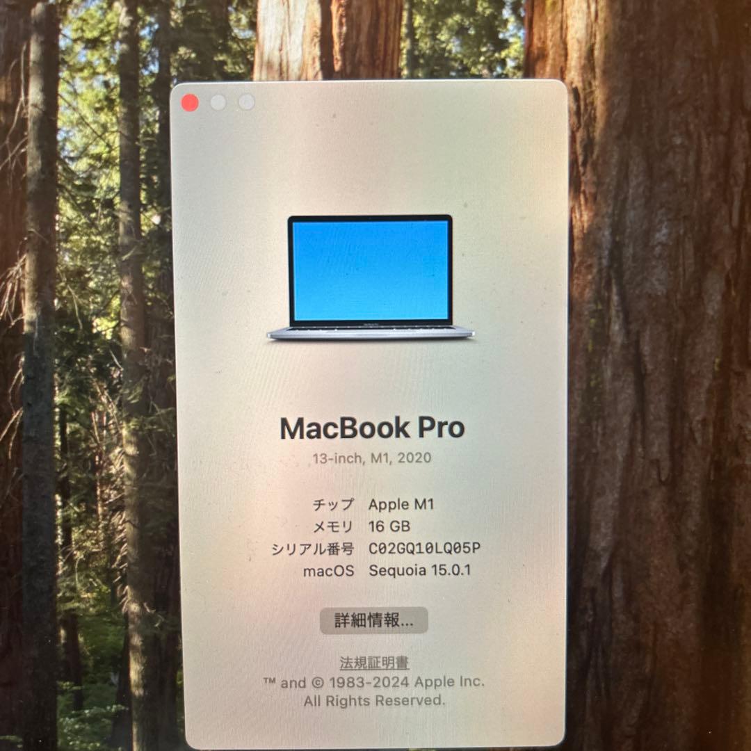 【美品】MacBook Pro M1