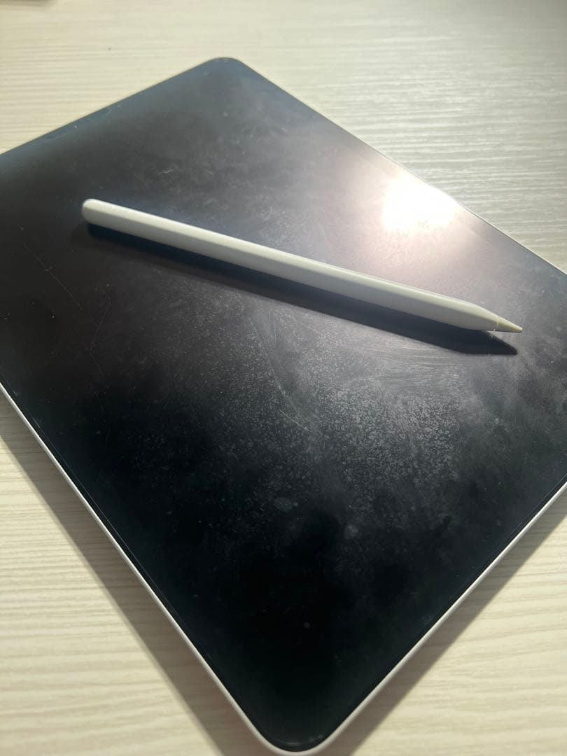 iPad Pro (11インチ)(第2世代) Apple pencil、ケース付