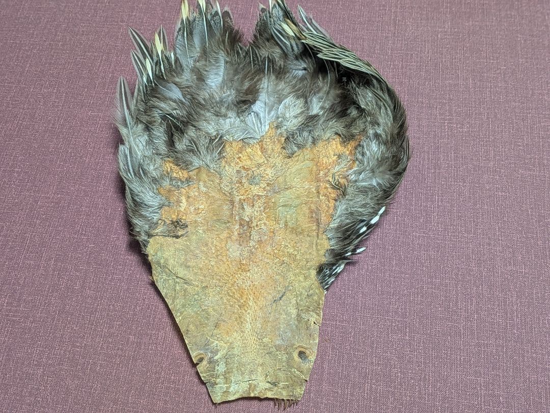 ジャングルコック