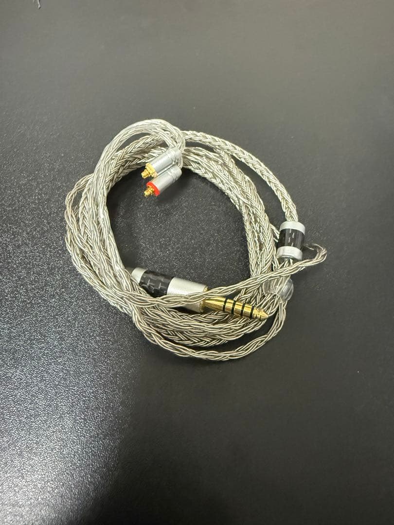 イヤホン SENNHEISER IE300
