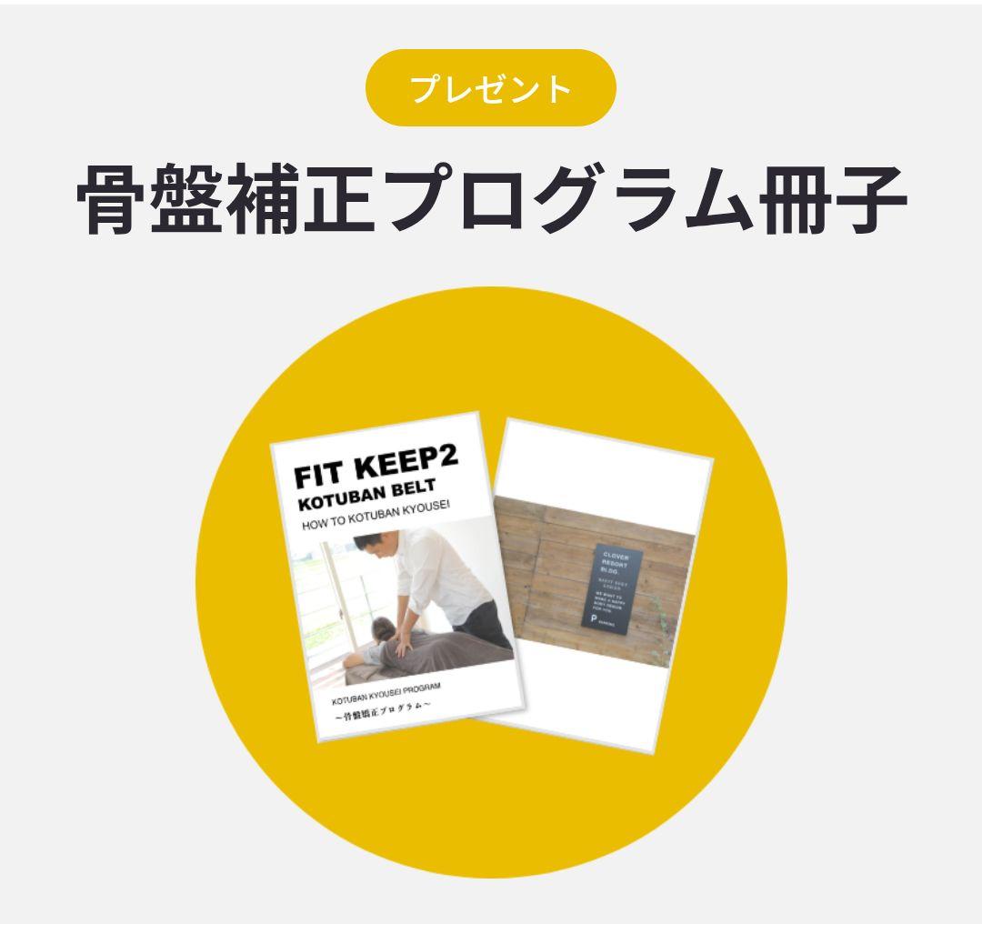 FITKEEP2 骨盤ベルト　LL