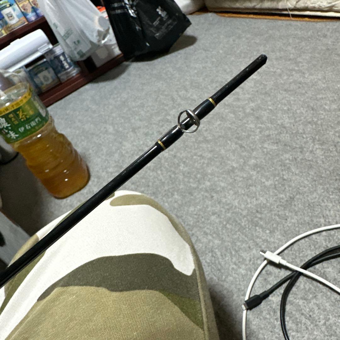 エバーグリーン