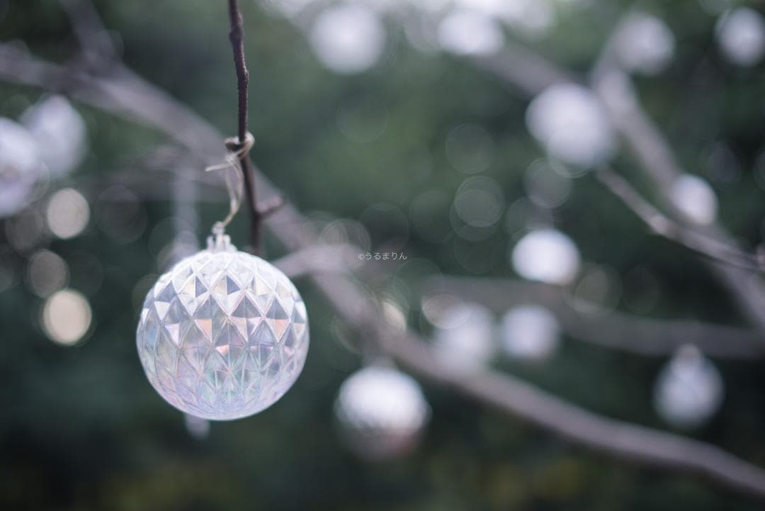 弩級の広角F1.4！Distagon 35mm F1.4 AEG