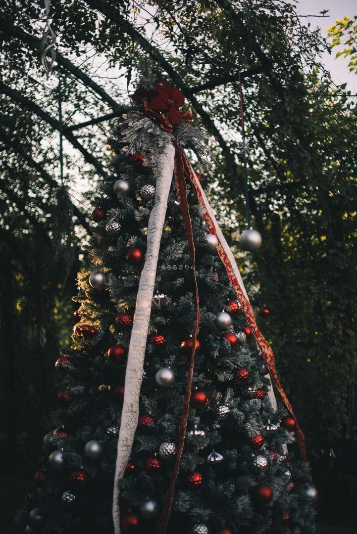 弩級の広角F1.4！Distagon 35mm F1.4 AEG