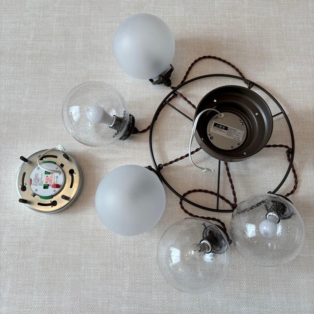 Orelia5 オレリア5 ペンダントライト