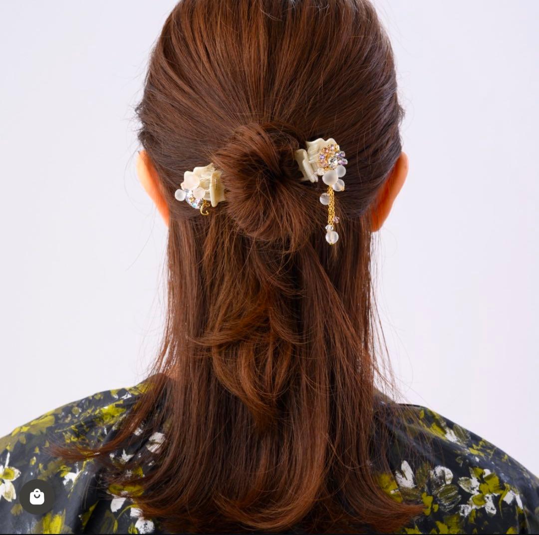 ノーザンライツデザートクリップ2個セット