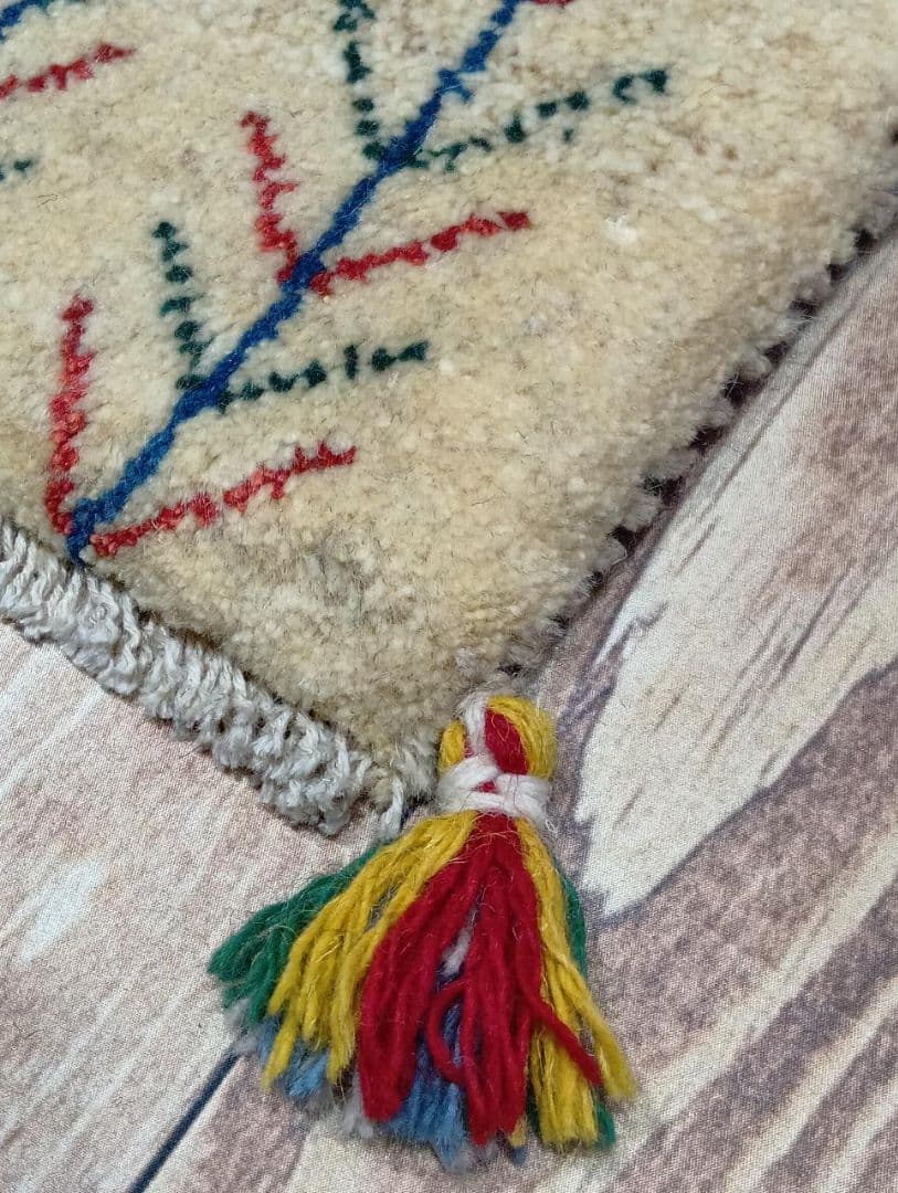 ペルシャ絨毯　ギャッベ　座布団　手織り　イラン(110)