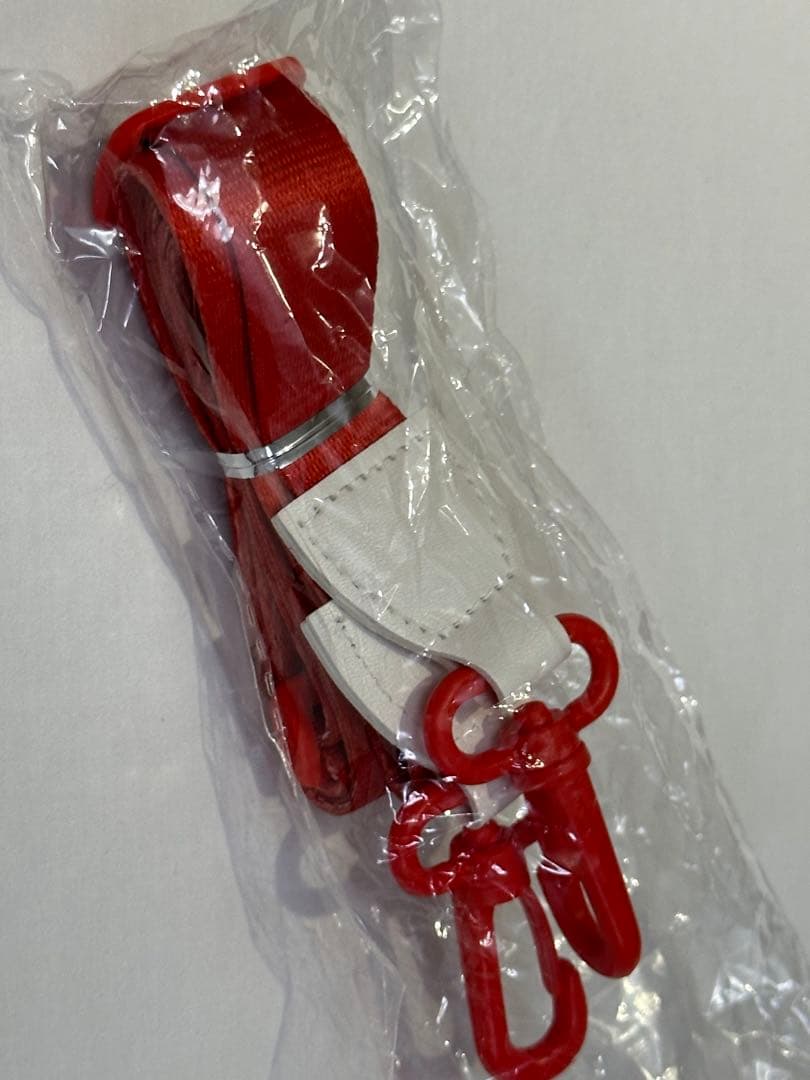 海外限定　スターバックス　ステンレス　タンブラー　いちごうさぎチャーム付き