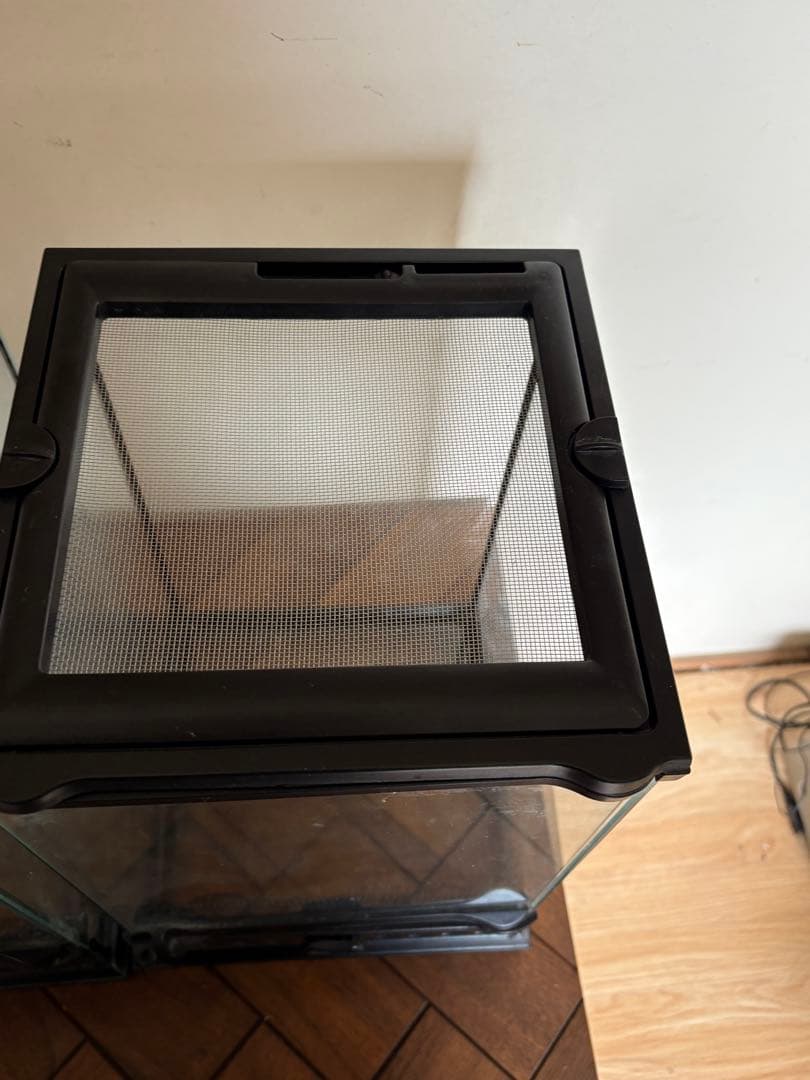 GEX グラステラリウム ナノ　エキゾテラ ケージ　2個セット