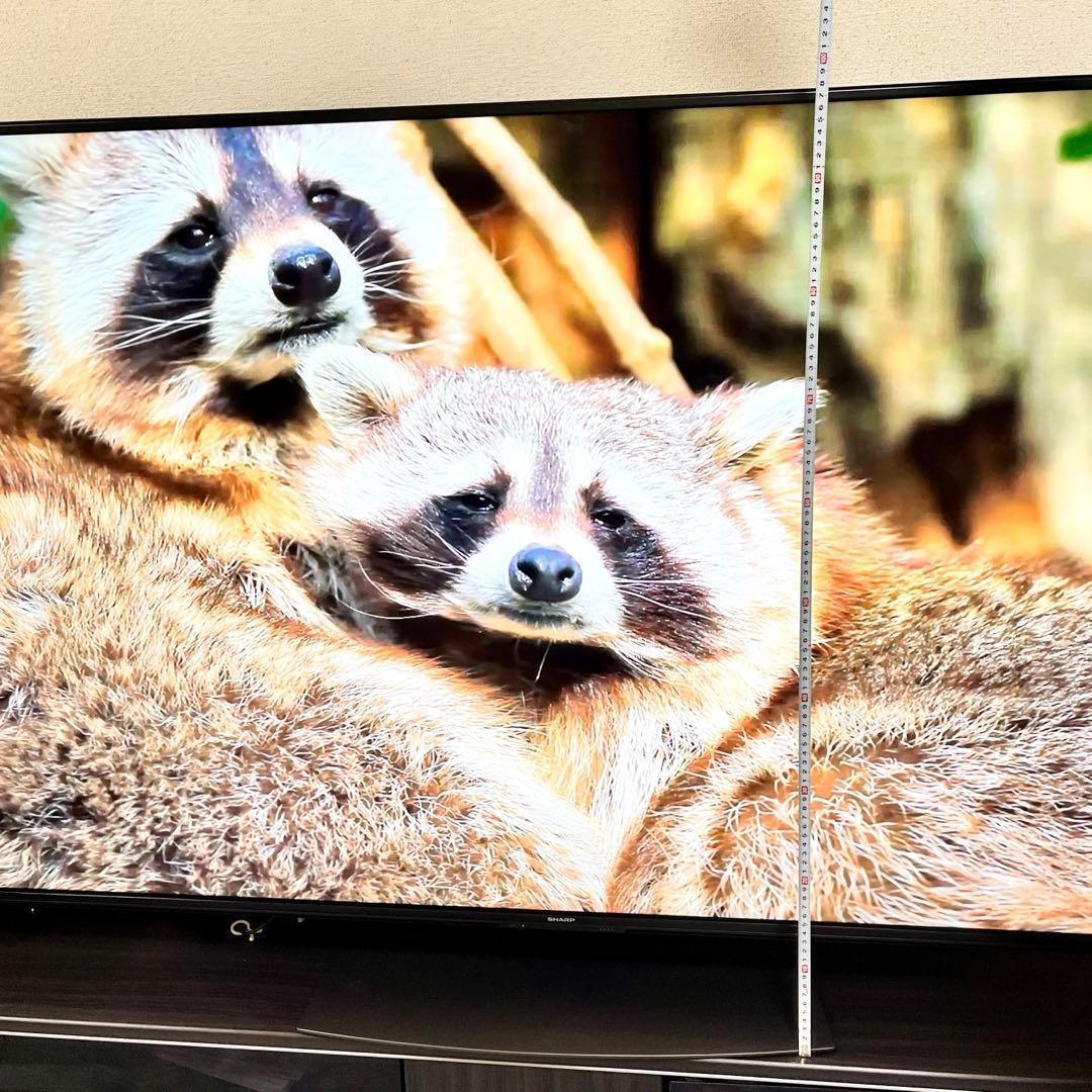 液晶テレビ シャープ アクオス 70インチ 4K 4T-C70DN1 家電 TV