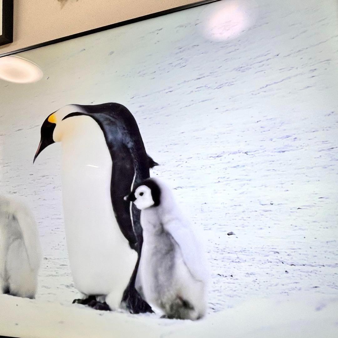 液晶テレビ シャープ アクオス 70インチ 4K 4T-C70DN1 家電 TV