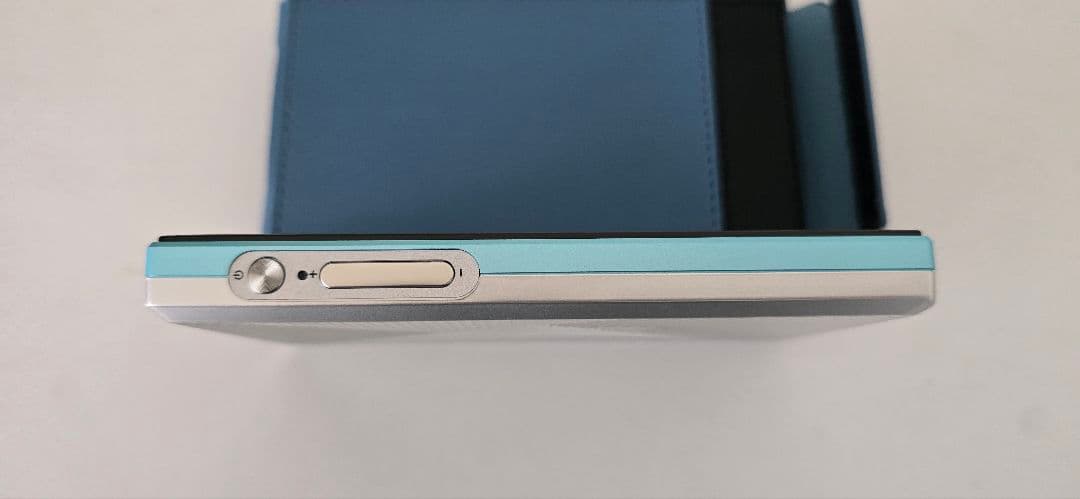 [美品・使用期間少なめ] FiiO JM21 ケース付き