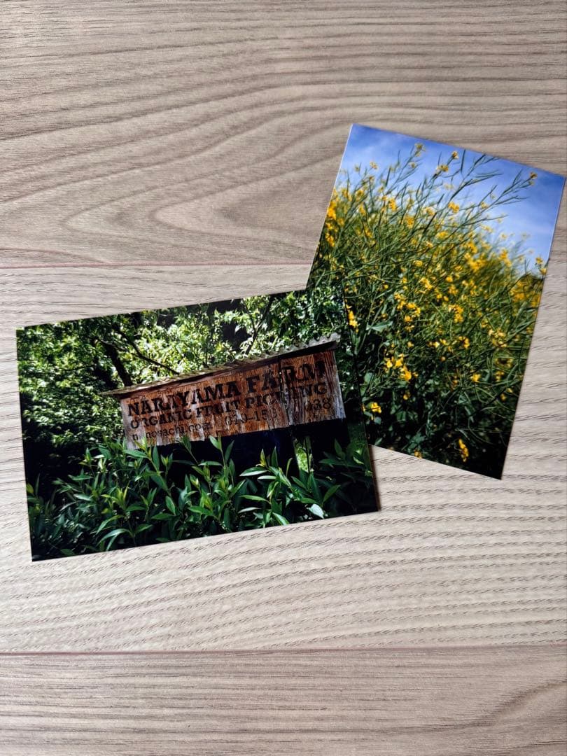 【美品】ミノルタ MINOLTA TC-1 コンパクトフィルムカメラ