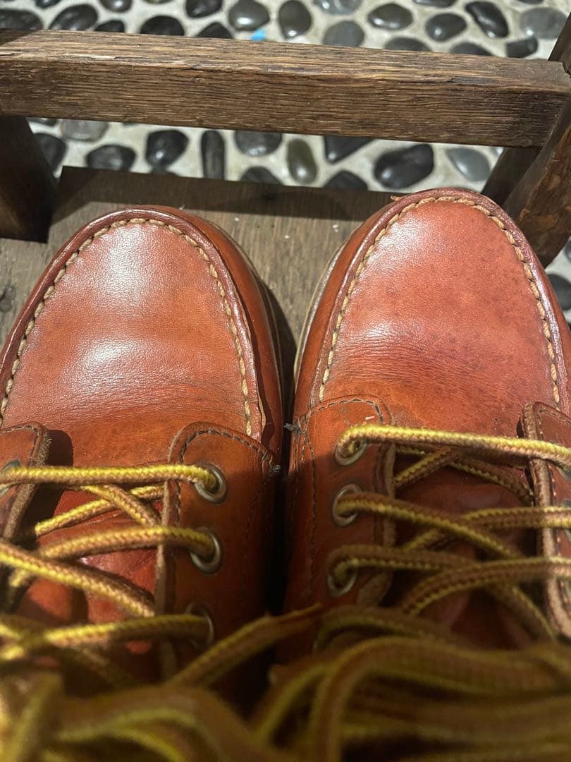 レッドウイング　アイリッシュセッター　23.5センチ