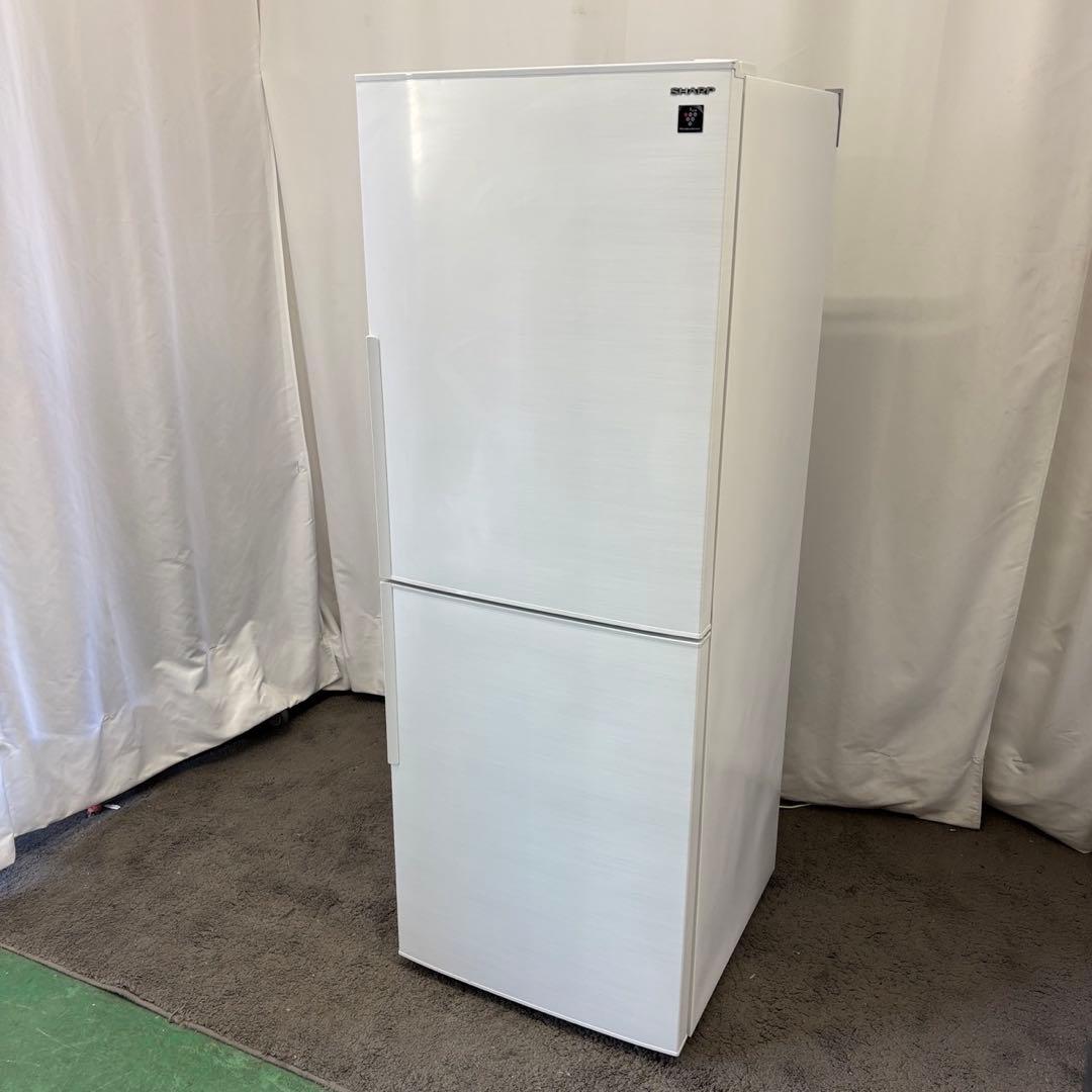 13　冷蔵庫　シャープ　一人暮らし　大きめ　200-300ℓ　綺麗　設置無料