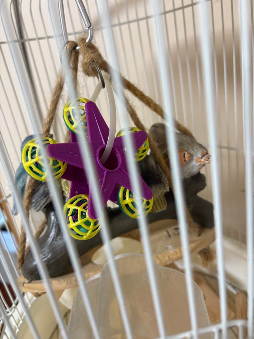 HOEI鳥かご（半月スタンド付き）