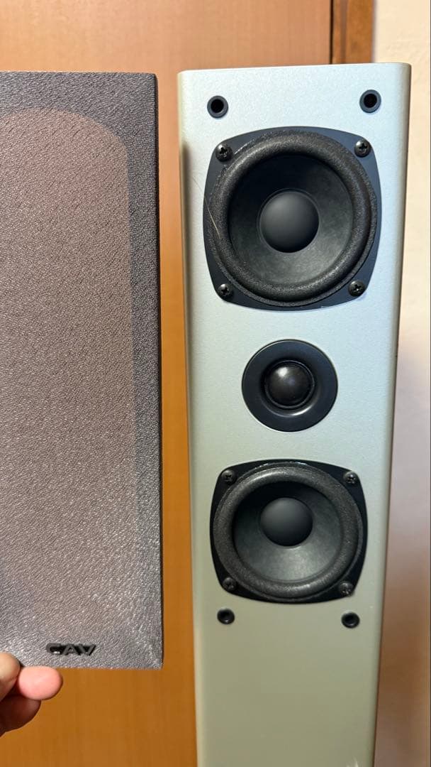 引き取り超破格！DP10 ウーハー SW256 CAV とトールボーイスピーカー