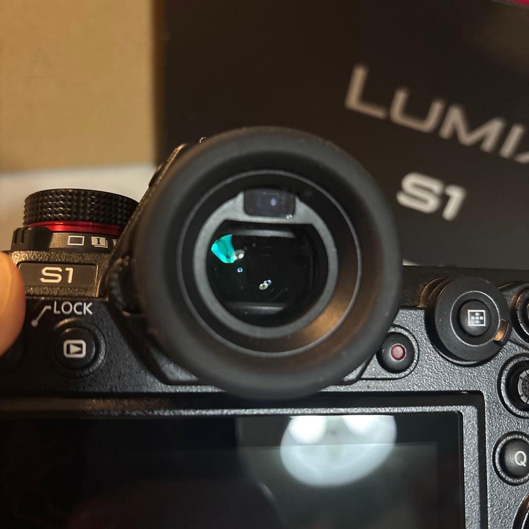 【少し訳あり・海外版】Panasonic LUMIX S1 ボディ