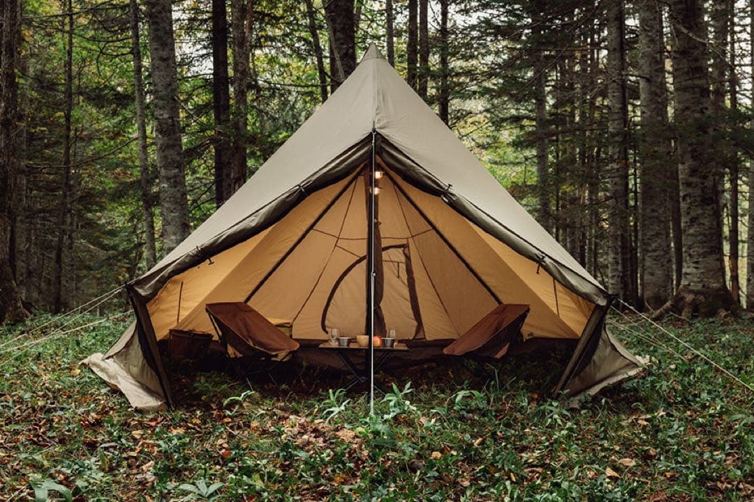 モーニンググローリー シンセティック