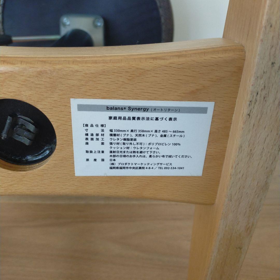 きのこのこのこ