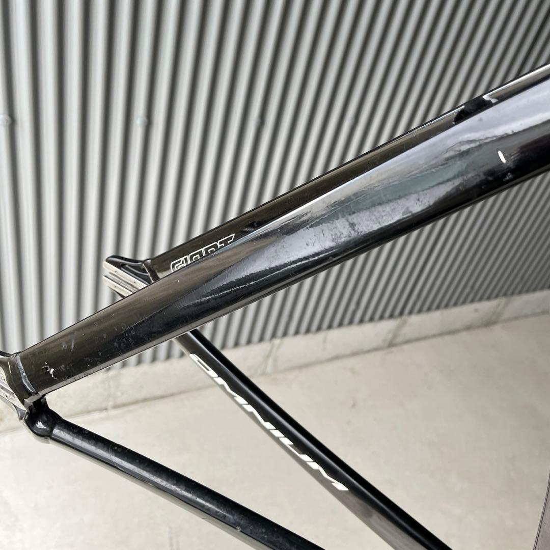 GIANT OMNIUM Mサイズ