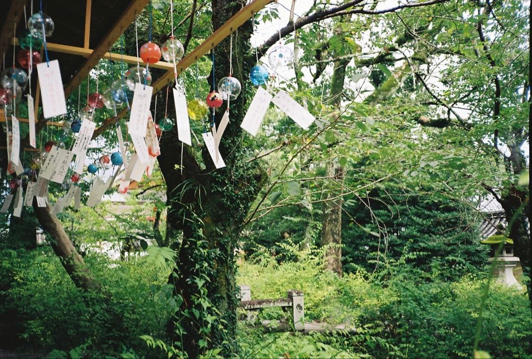 【動作確認済】Konica TOMATO AUTO DATE 実働品　作例あり