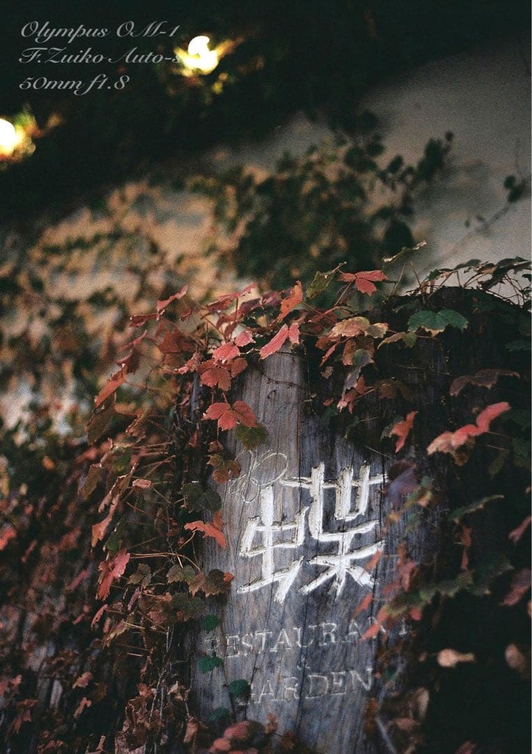 ★完動品＊美品＊初期保証付★OLYMPUS OM-1／f1.8レンズ★本革外装！