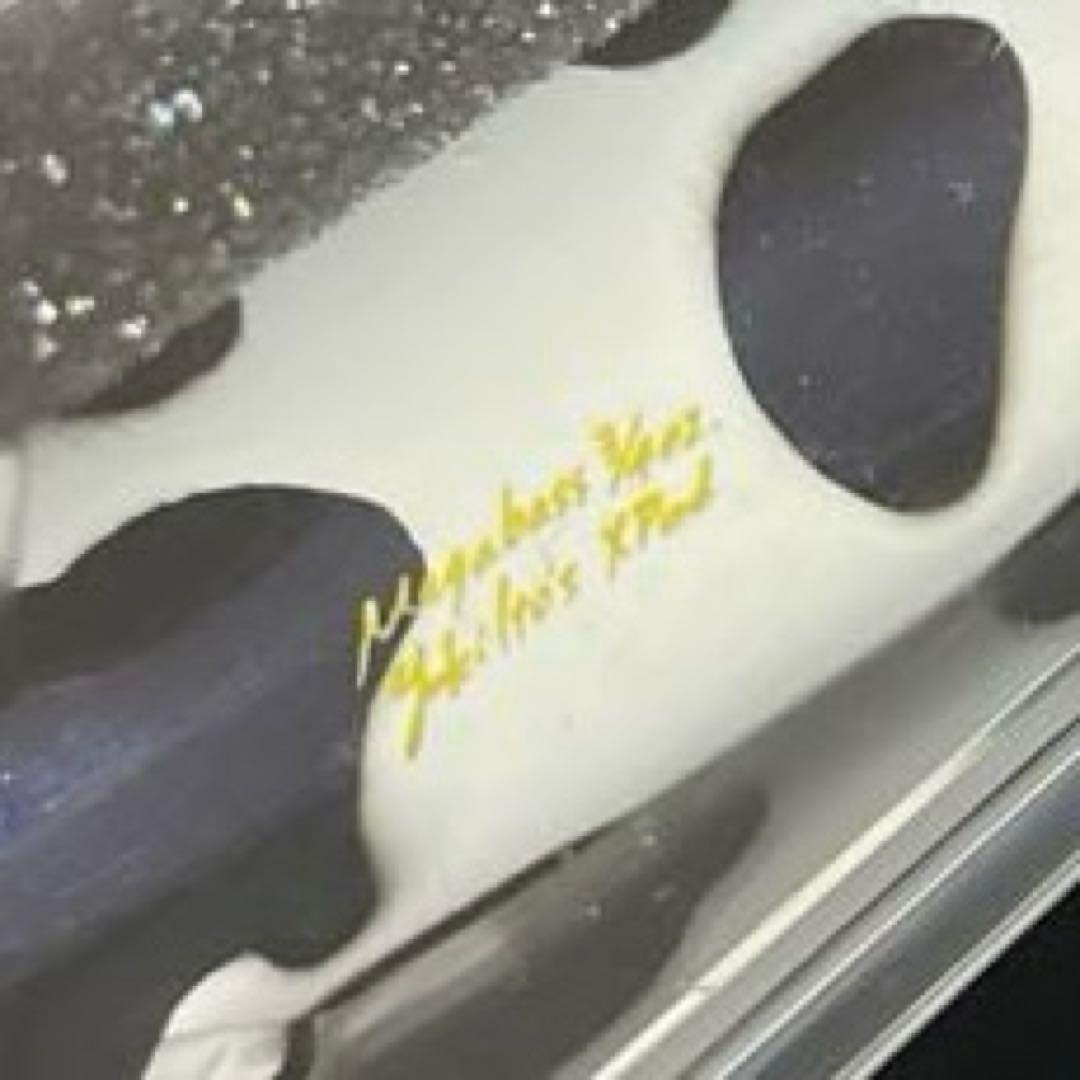 限定 メガバス Xポッド 2009 スペシャルカラー 干支 牛