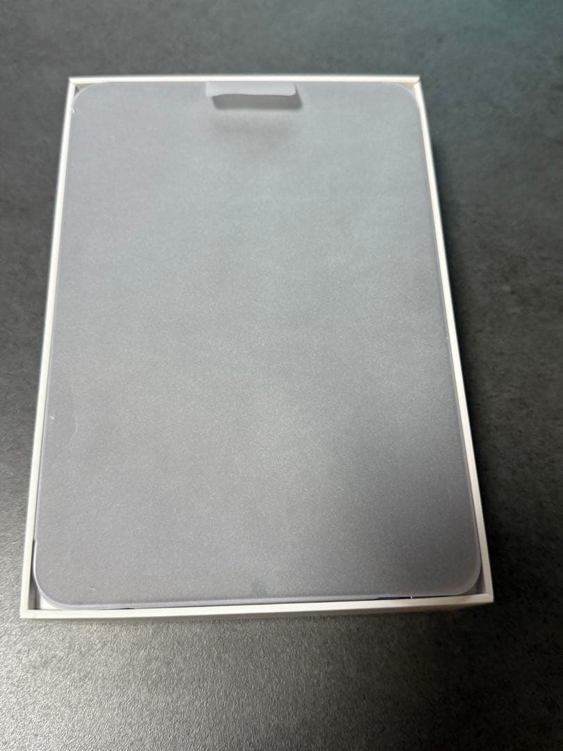 iPadアクセサリー iPad mini6 256GBWi-Fi Apple Pencil