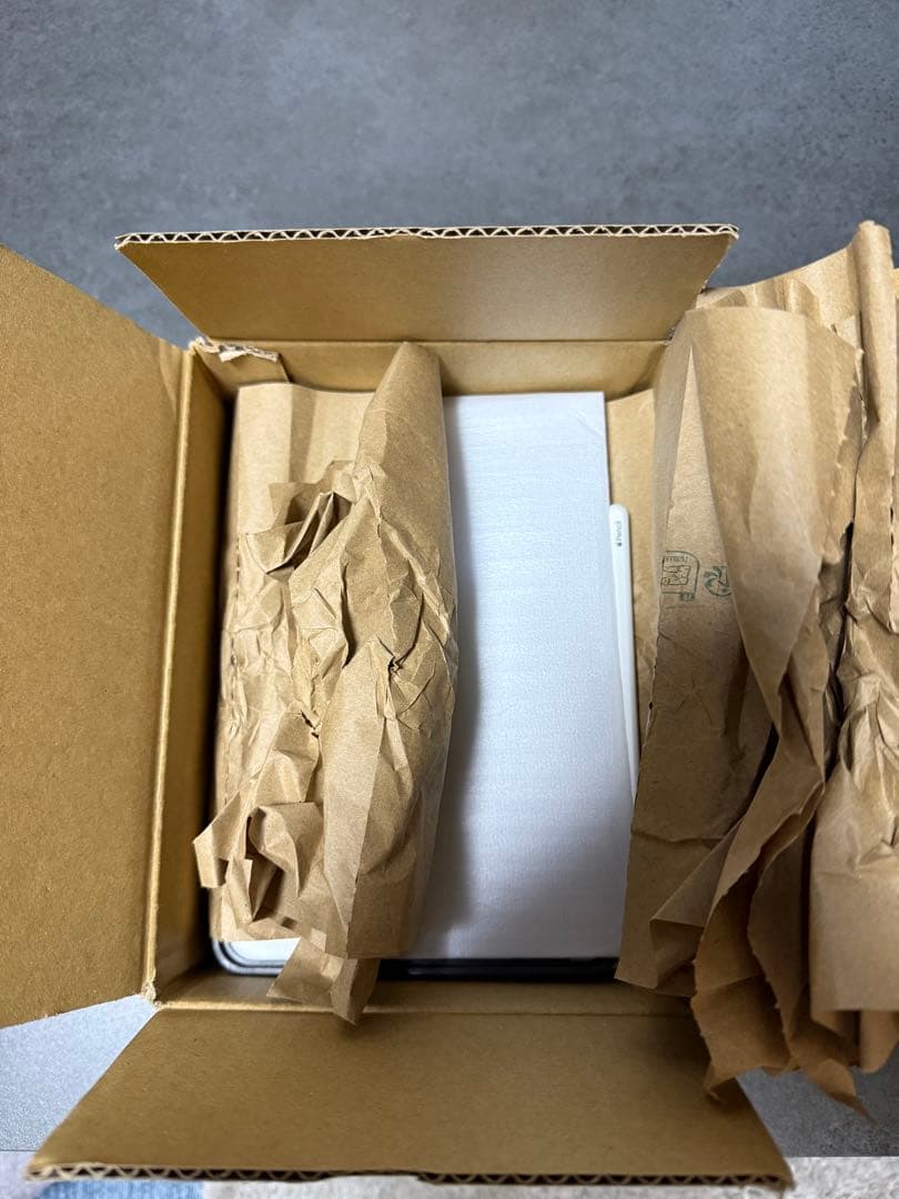 iPadアクセサリー iPad mini6 256GBWi-Fi Apple Pencil