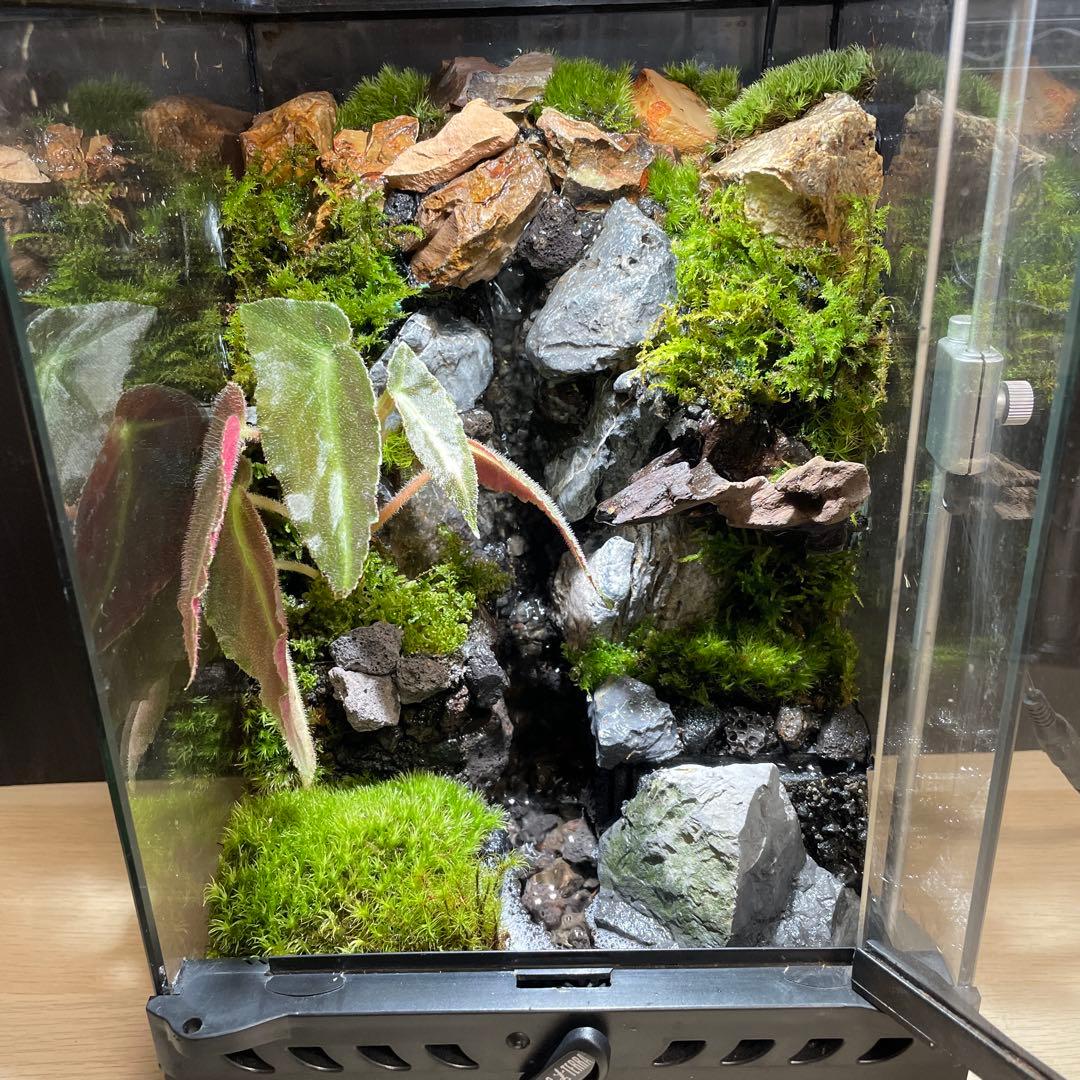 【user_29211b34】大きな滝のあるアクアテラリウム