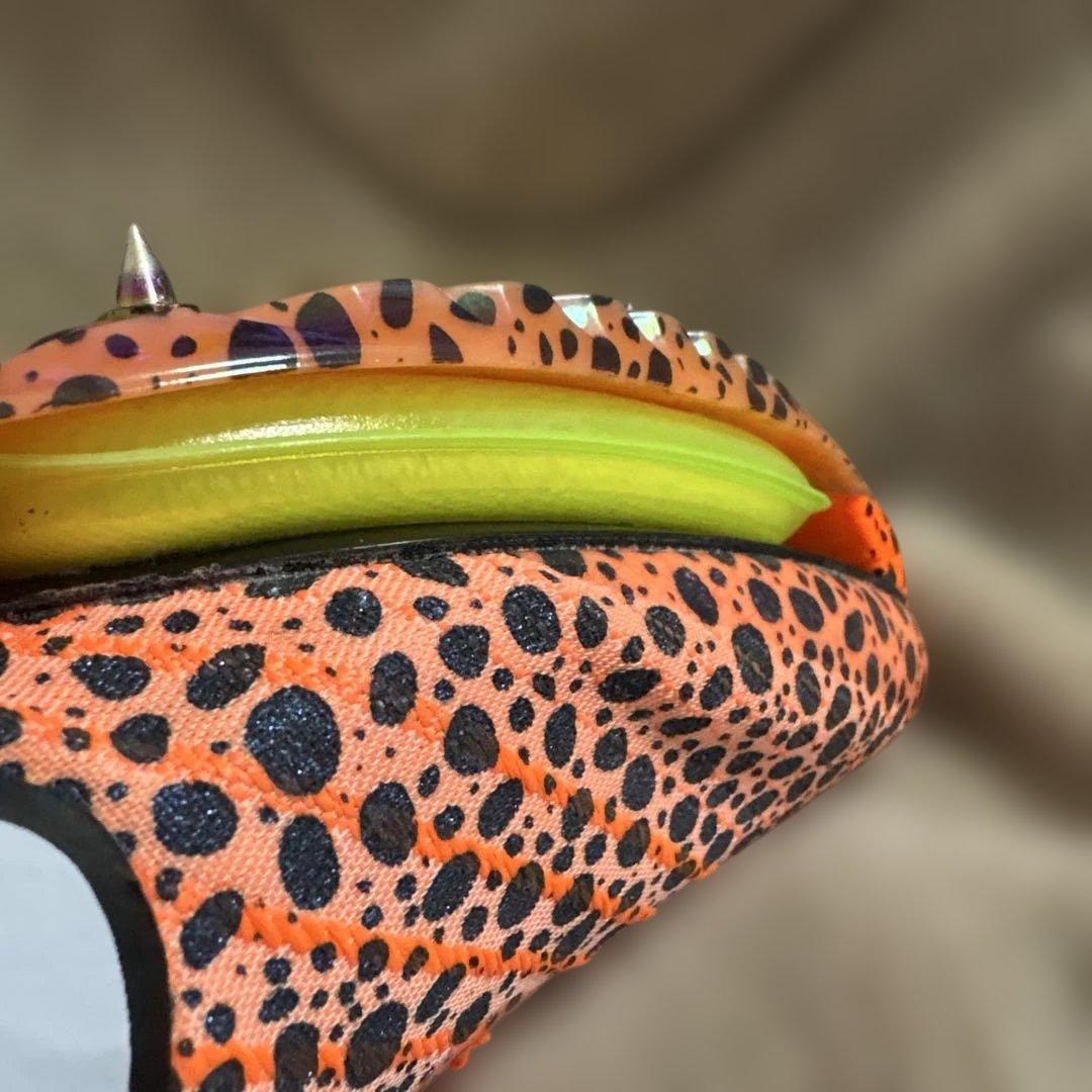 NIKEマックスフライ2パリカラー(27.0)