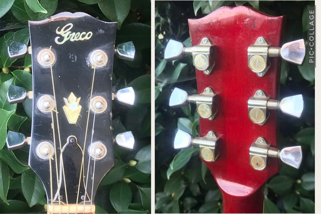 greco 303 DOVE グレコ フジゲン