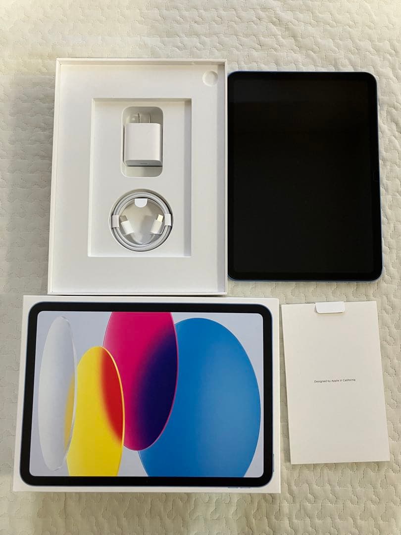 Apple iPad (A16) 本体 ブルー