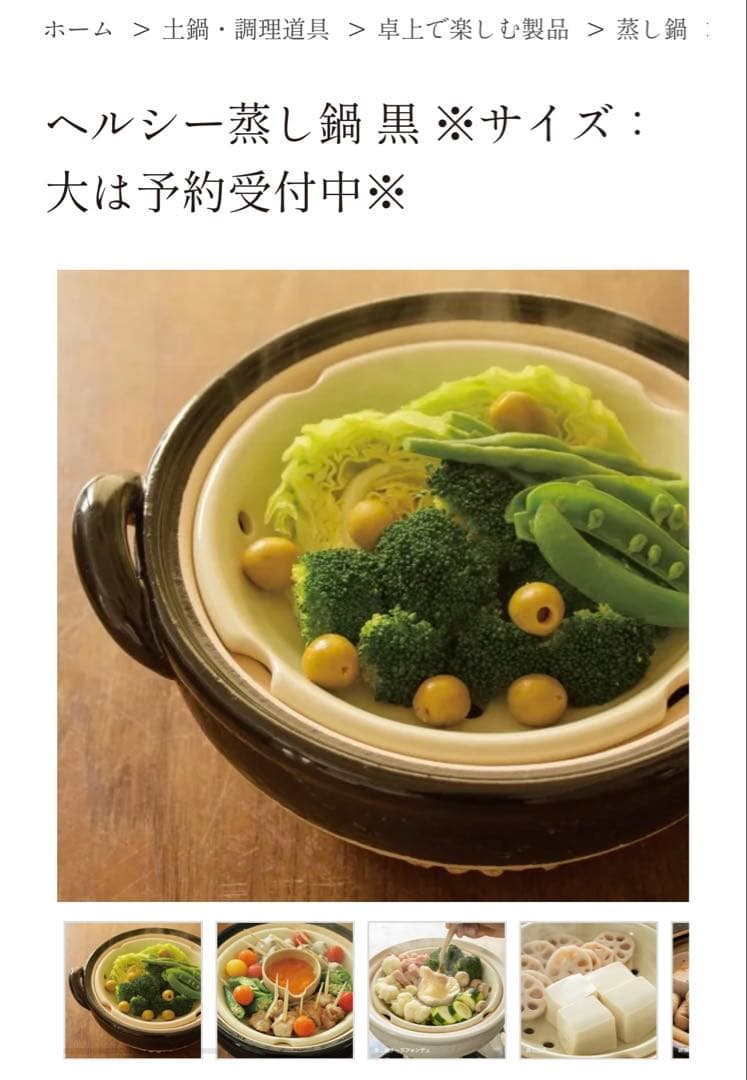 長谷園　伊賀焼 ヘルシー蒸し器