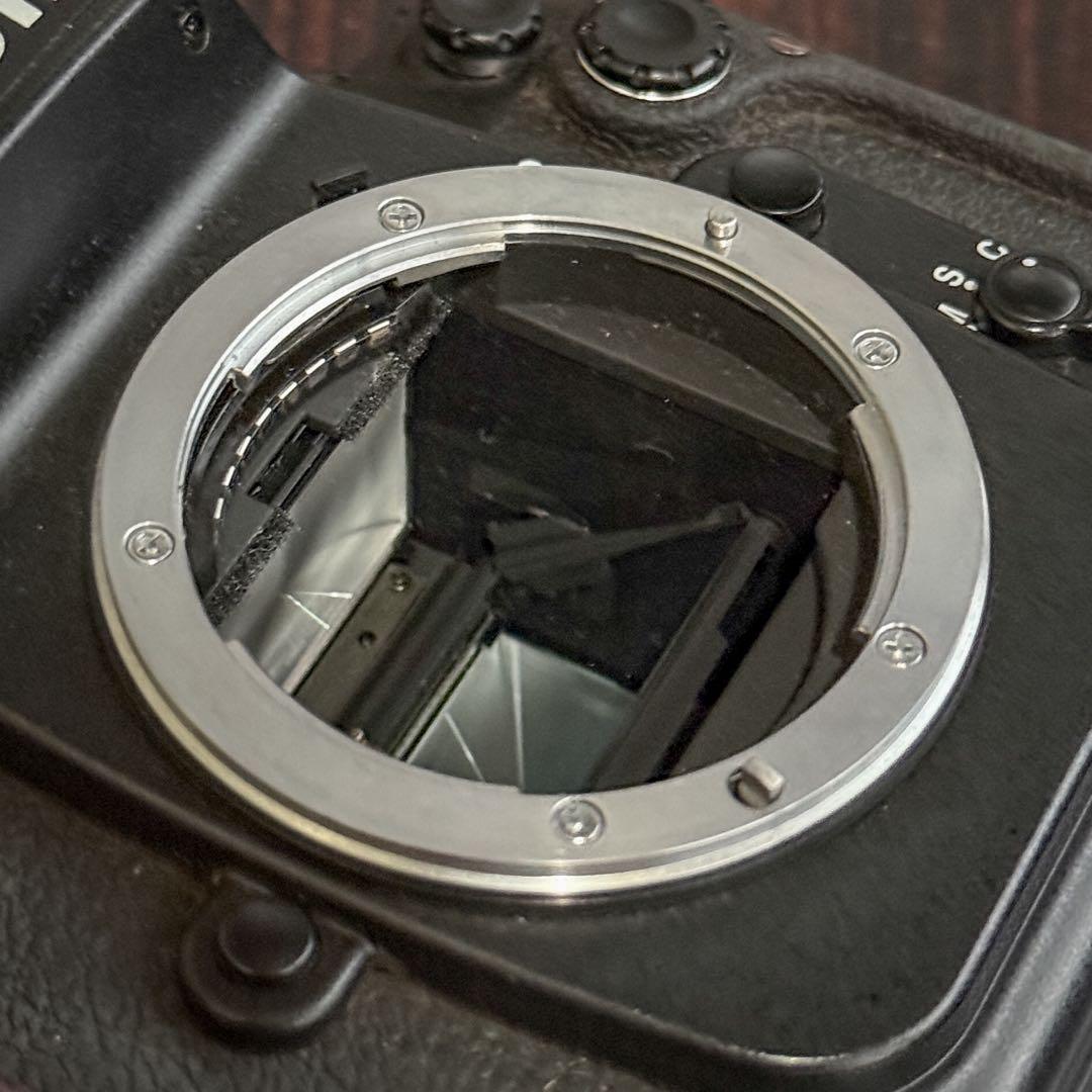 がんさん専用Nikon F100 完動品