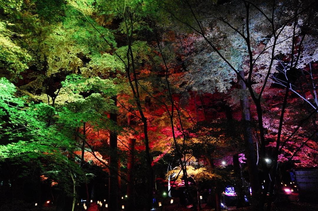 Leica T（Typ701）＋ Sigma 18-50mm f2.8 DC