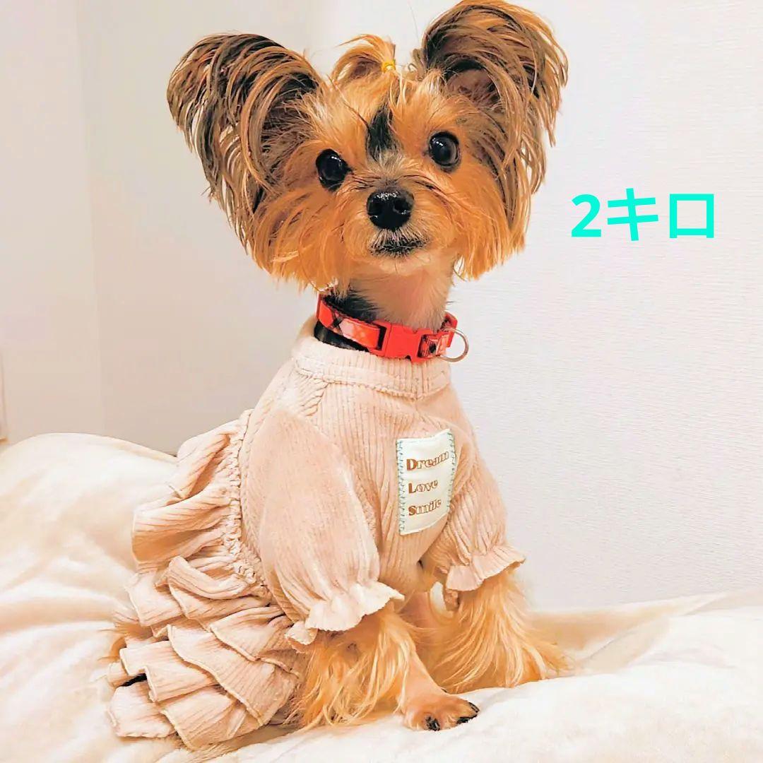 新品3色CORDUROY FRILLEDサーカスサーカスcircuscircus