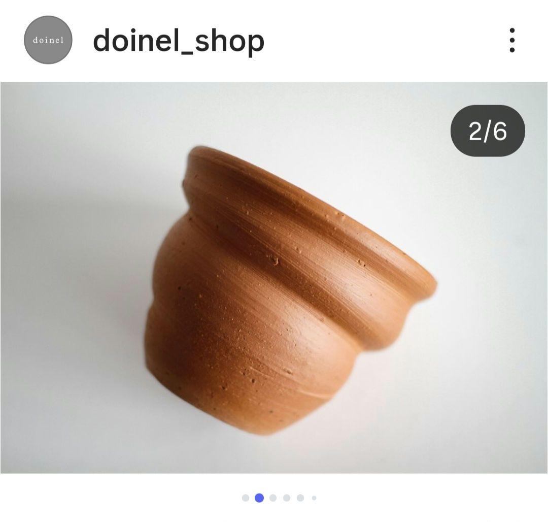 フィロデンドロン テヌー ビカクシダ アンスリウム ベイチー モンステラ