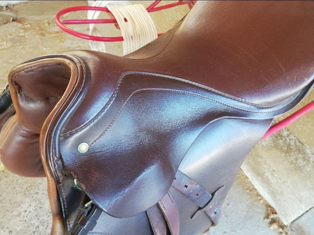 3/18までセール☆馬場鞍 鐙 腹帯 オールパーパス