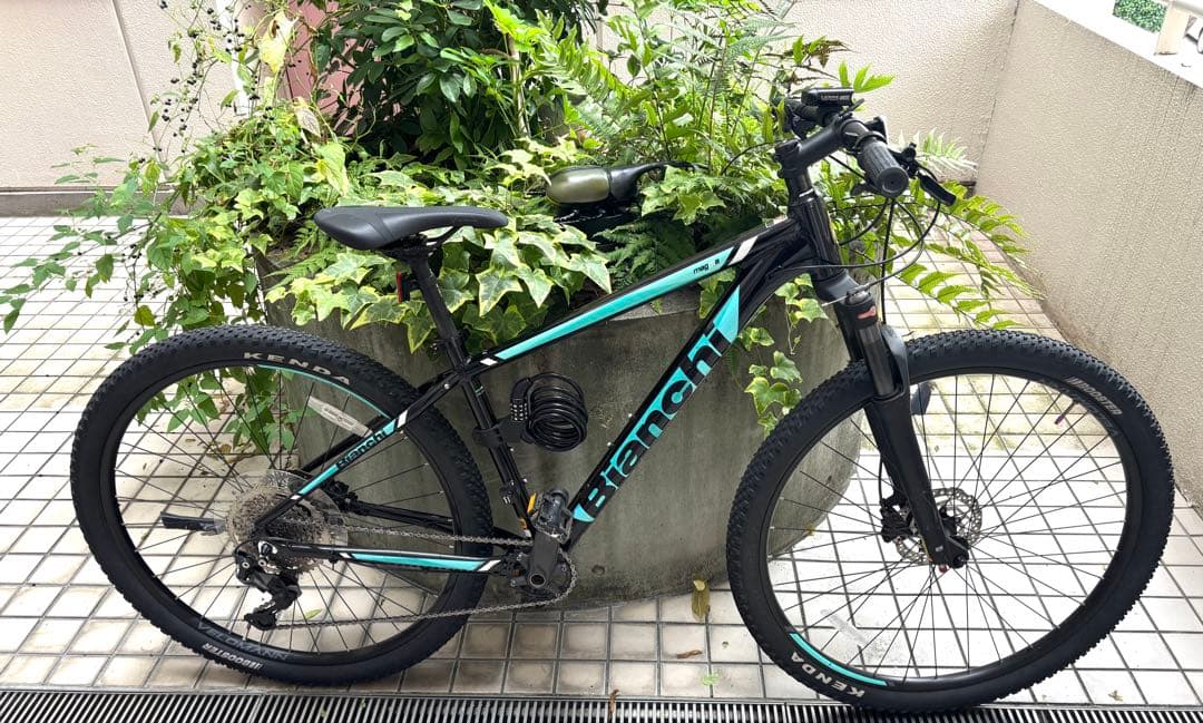 Bianchi magma 29.1(S43)LEDライトプレゼント