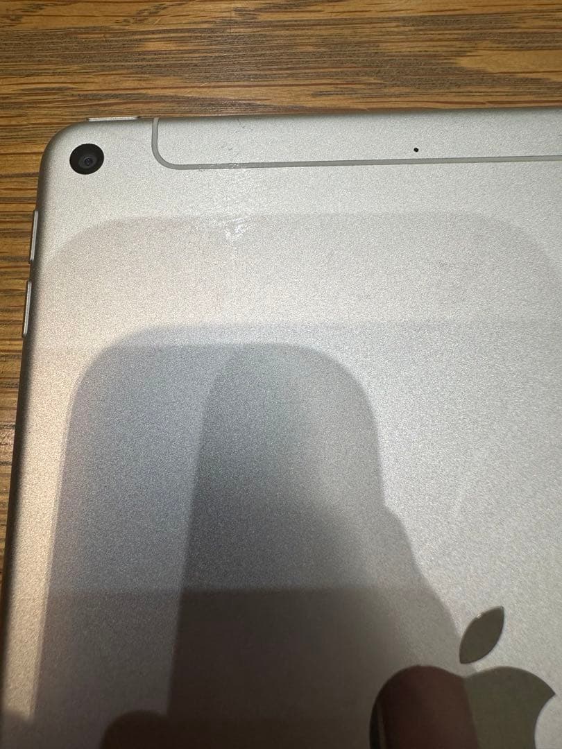 Apple iPad mini 第5世代　256GB Wi-Fi