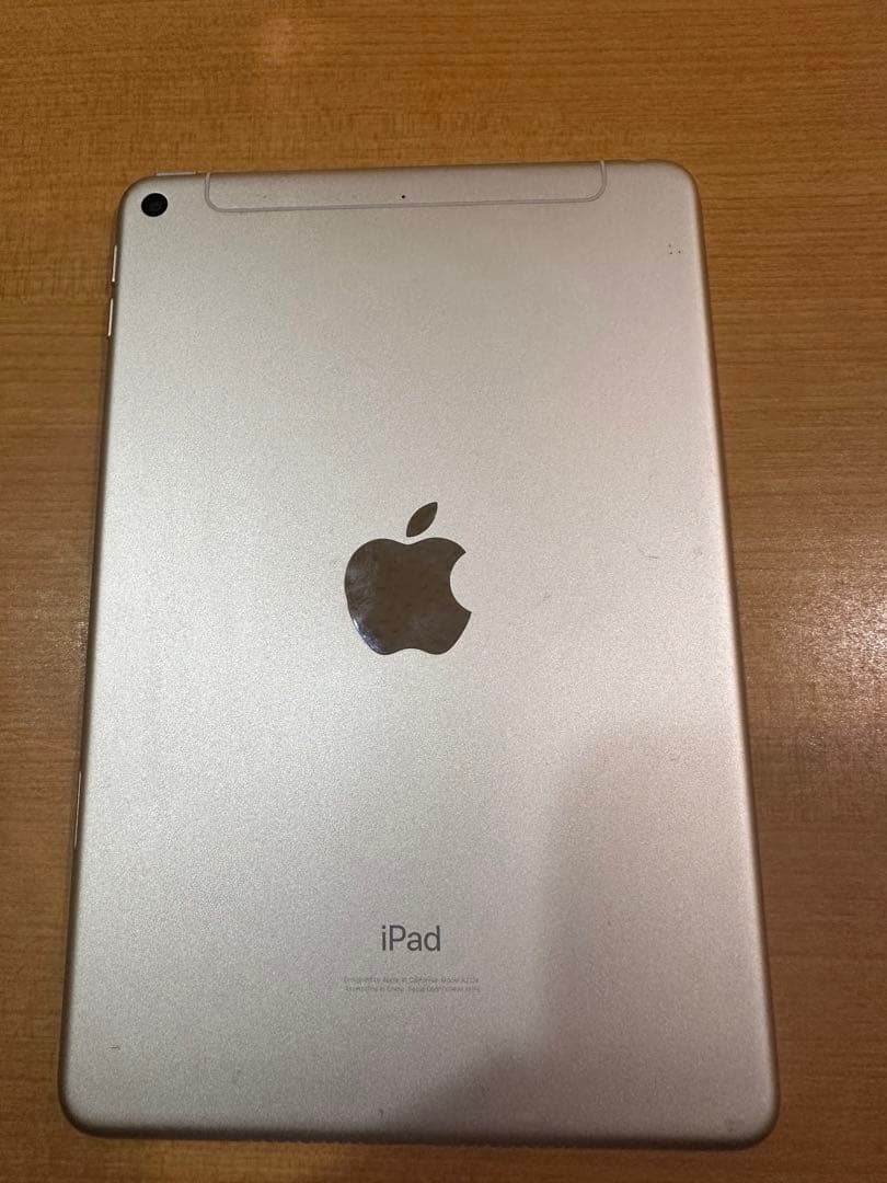 Apple iPad mini 第5世代　256GB Wi-Fi