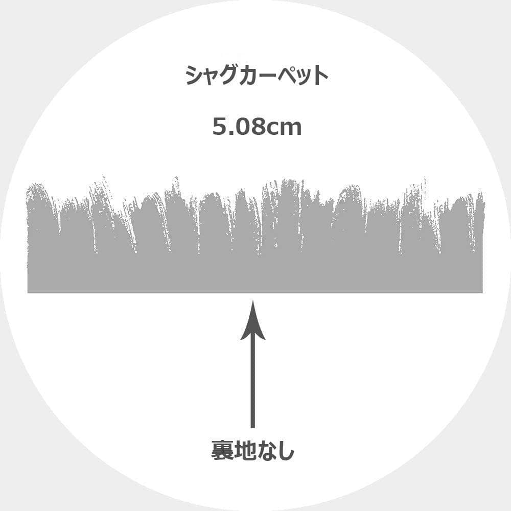 SAFAVIEH (サファビア)プラッシュエリアラグ アイボリー/グレー