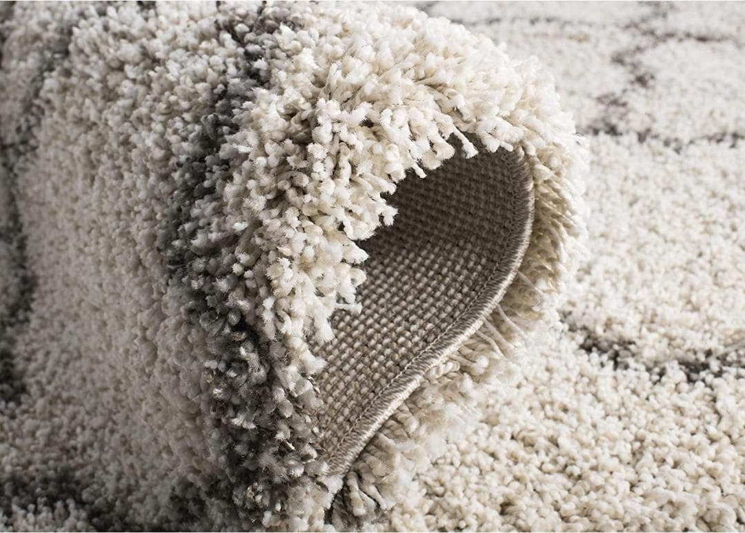 SAFAVIEH (サファビア)プラッシュエリアラグ アイボリー/グレー